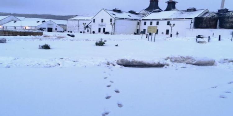 ভারী তুষারপাতে জাপানের পাহাড়ি মন্দিরে শতাধিক মানুষের রাত কাটানো