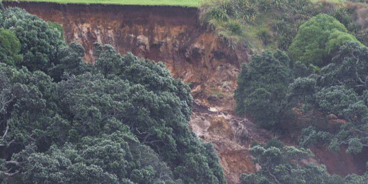 নিউজিল্যান্ডে ক্যাম্পসাইটে ভূমিধস, নিখোঁজদের খোঁজে উদ্ধার অভিযান