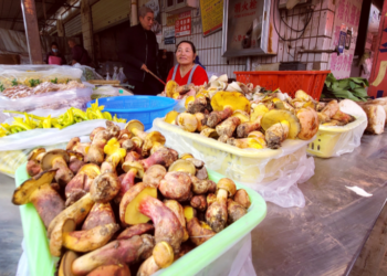 খাবারের থালায় দেখা যায় ক্ষুদ্র মানুষ: যে রহস্যময় ছত্রাক মানুষকে বিভ্রমে ডুবিয়ে দিচ্ছে