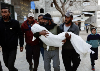 গাজায় জ্বালানি কাঠ কুড়াতে গিয়ে ইসরায়েলি ড্রোন হামলায় দুই শিশু নিহত
