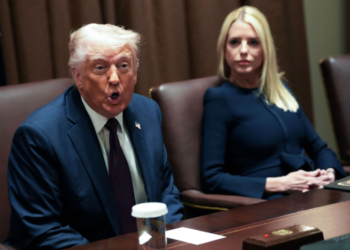 প্রেটি হত্যাকাণ্ডে ভুয়া তথ্য ছড়ানোর অভিযোগ ট্রাম্প প্রশাসন ও মাগা সমর্থকদের বিরুদ্ধে