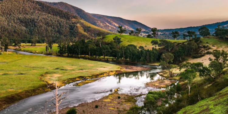 এই ক্ষুদ্র অস্ট্রেলীয় শহরটি বিক্রির জন্য তোলা হয়েছে, কিন্তু স্থানীয়রা ছাড়তে চান না