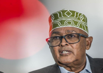 গাজার ফিলিস্তিনিদের সোমালিল্যান্ডে পাঠানোর পরিকল্পনার অভিযোগ সোমালিয়ার প্রতিরক্ষামন্ত্রীর