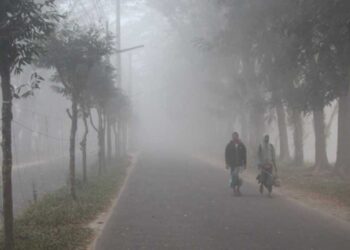 কাঁপছে ১০ জেলা: মৃদু থেকে মাঝারি শৈত্যপ্রবাহ অব্যাহত থাকার পূর্বাভাস