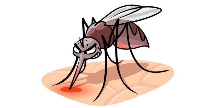 জানুয়ারিতে ডেঙ্গুতে দ্বিতীয় মৃত্যু, একদিনে আক্রান্ত ২৯