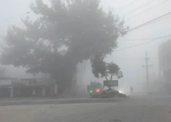 আট জেলায় শৈত্যপ্রবাহ, কুয়াশা ঘনীভূত হওয়ার আশঙ্কা