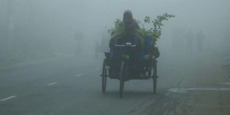 কনকনে ঠাণ্ডা ও হিমেল বাতাসে বিপর্যস্ত জনজীবন