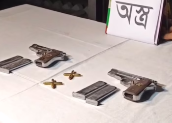 কুষ্টিয়া সীমান্তে বিদেশি অস্ত্র ও গুলি উদ্ধার