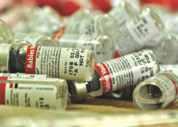 চুয়াডাঙ্গায় টানা ১৮ দিন নেই জলাতঙ্কের টিকা