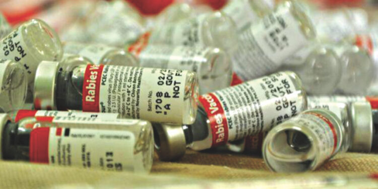 চুয়াডাঙ্গায় টানা ১৮ দিন নেই জলাতঙ্কের টিকা