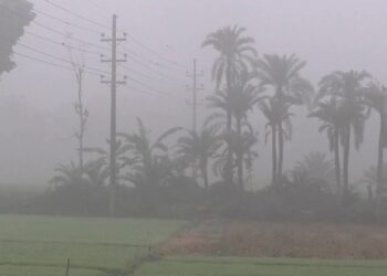 চুয়াডাঙ্গায় শৈত্যপ্রবাহ, তাপমাত্রা নেমেছে ৮.৮ ডিগ্রিতে