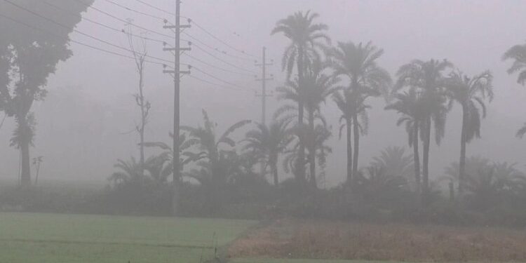 চুয়াডাঙ্গায় শৈত্যপ্রবাহ, তাপমাত্রা নেমেছে ৮.৮ ডিগ্রিতে