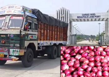 দুই সপ্তাহ ধরে বেনাপোল দিয়ে পেঁয়াজ আমদানি বন্ধ