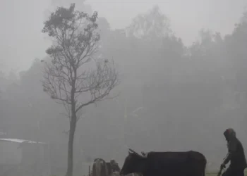 নওগাঁয় দেশের সর্বনিম্ন তাপমাত্রা ৬.৭ ডিগ্রি