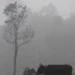 নওগাঁয় দেশের সর্বনিম্ন তাপমাত্রা ৬.৭ ডিগ্রি