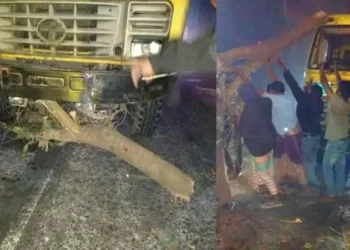 মহাসড়কে রাতের আতঙ্ক: ৫ বছরে ডাকাতি ও দস্যুতা বেড়েছে দ্বিগুণ