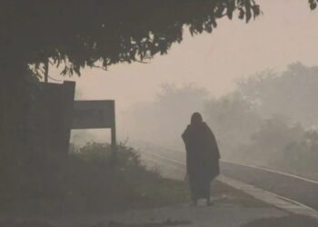 মাঘের শুরুতে স্বস্তির বার্তা: তাপমাত্রা বাড়ছে, কমছে শৈত্যপ্রবাহের দাপট