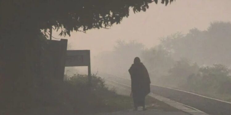 মাঘের শুরুতে স্বস্তির বার্তা: তাপমাত্রা বাড়ছে, কমছে শৈত্যপ্রবাহের দাপট