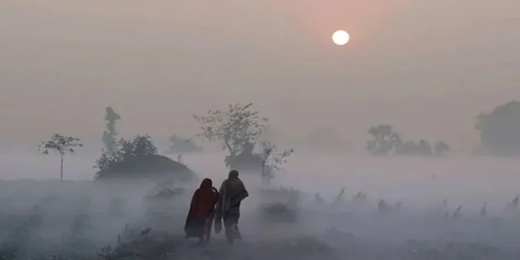 যেসব এলাকায় তাপমাত্রা নামতে পারে ৭ ডিগ্রিতে