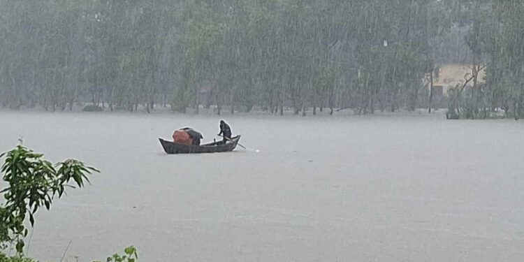 রংপুর বিভাগে হালকা বৃষ্টির পূর্বাভাস দিল আবহাওয়া অফিস