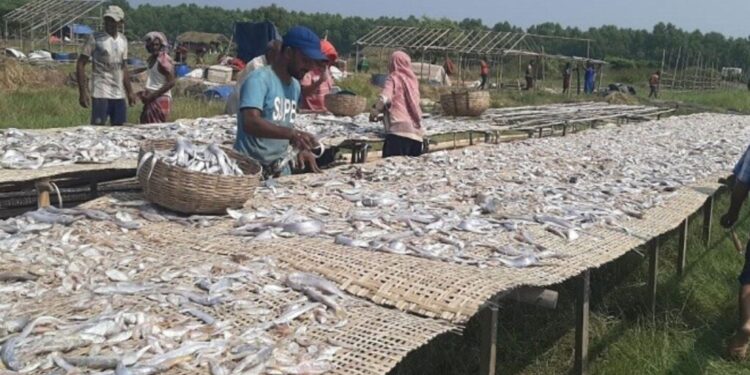 সুন্দরবনের দুবলার চরে ‘সাহেব সিন্ডিকেট’: জিম্মি পর্যটক, সর্বস্বান্ত সাধারণ জেলে