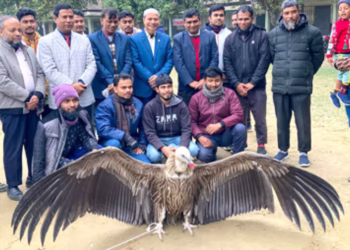 গাইবান্ধার সুন্দরগঞ্জে একটি প্রায় বিপন্ন হিমালয়ান গ্রিফন শকুন উদ্ধার করা হয়েছে।