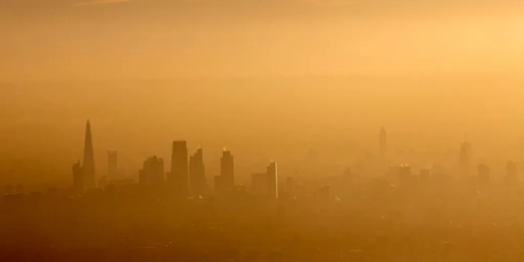 ট্রাফিকের ধোঁয়া শরীরে ঢুকলে কী ঘটে: নিজের শরীরেই দেখলেন বায়ুদূষণের ছাপ