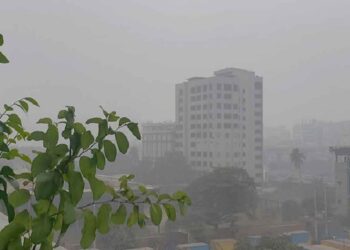 কবে থেকে বাড়ছে শীত, জানাল আবহাওয়া অধিদপ্তর