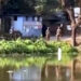 পটিয়ায় ভোটকেন্দ্রে প্রভাব বিস্তারের চেষ্টা, পুকুরে নামিয়ে শাস্তি