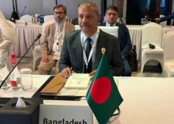 ভিসা জটিলতা নিরসনে আমিরাতের মন্ত্রীর সহযোগিতা চাইলেন আসিফ নজরুল