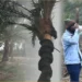 মানিকগঞ্জে নিপাহ ভাইরাসের বাস্তব ঝুঁকি; কাঁচা রসে বাড়ছে বিপদ