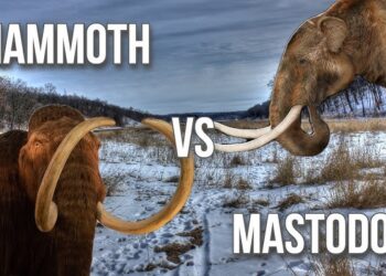 তুষার যুগের দৈত্য: ম্যামথ ও মাস্টোডন-এর আদ্যোপান্ত