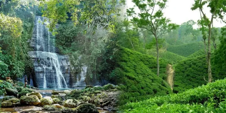 পাহাড়ে আসছেন লাখো পর্যটক, শত কোটি টাকা বাণিজ্যের আশা