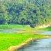 পাহাড় সমুদ্র সমতলের হাতছানি চট্টগ্রামে