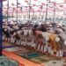মাগুরায় বৈরী আবহাওয়ায় ঈদের জামাত, কেন্দ্রীয় ঈদগাহে হাজারো মুসল্লির নামাজ আদায়