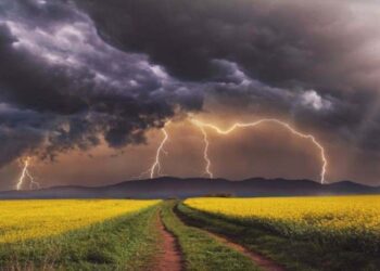 সুনামগঞ্জে বজ্রপাতে শিক্ষার্থীসহ ৫ জনের মৃত্যু