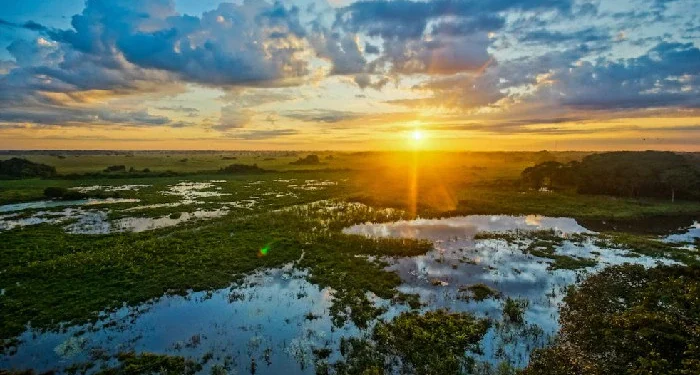 ‘হাওর ও জলাভূমি সংরক্ষণ আইন-২০২৬’ সংসদে পাস