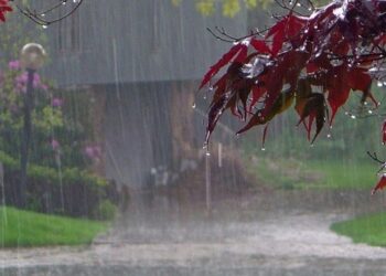 ভারি বৃষ্টির আভাস, বন্যার শঙ্কা