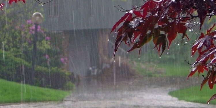 ভারি বৃষ্টির আভাস, বন্যার শঙ্কা