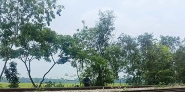 রেললাইনে বসে গাঁজা সেবনের চরম পরিণতি