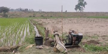 ফরিদপুরে জ্বালানি সংকট: আবাদ মৌসুমে দিশেহারা পাট চাষিরা