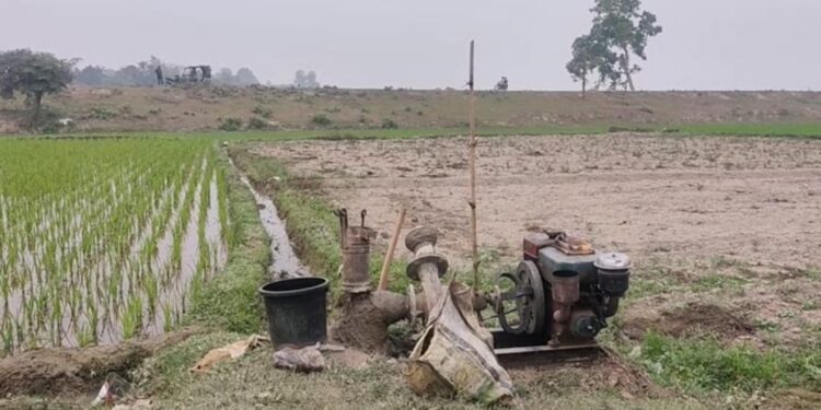 ফরিদপুরে জ্বালানি সংকট: আবাদ মৌসুমে দিশেহারা পাট চাষিরা