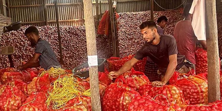 এক মণ পেঁয়াজেও মিলছে না এক কেজি ইলিশ!