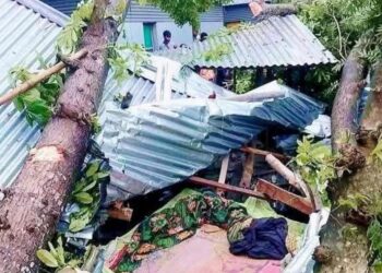 জামালপুরে কালবৈশাখীর ঝড়ে একই পরিবারের ৩ জন নিহত