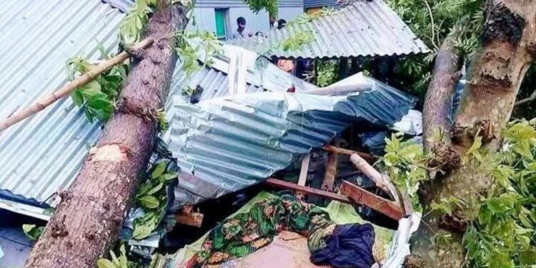 জামালপুরে কালবৈশাখীর ঝড়ে একই পরিবারের ৩ জন নিহত