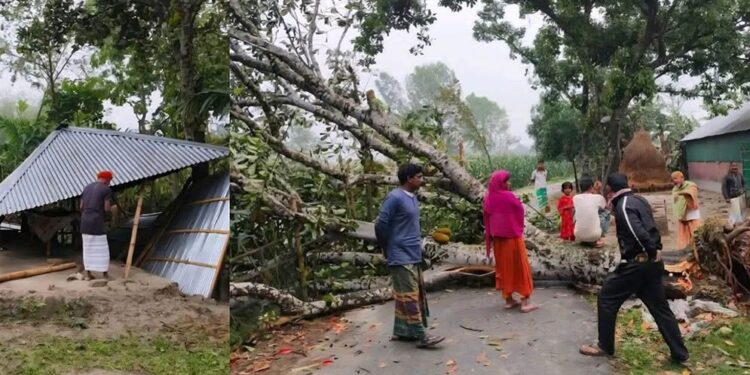 ঝড়ে কিশোরগঞ্জের ৪ গ্রামের ঘরবাড়ি ও গাছপালা লন্ডভন্ড