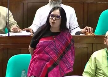 ব্যাংক থেকে সরকার ৪৪ হাজার ৫০০ কোটি টাকা ঋণ নিয়েছে: রুমিন