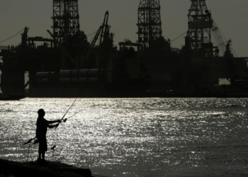 মেক্সিকো উপসাগরে তেল খননে বিপন্ন প্রাণী সুরক্ষা শিথিল করল যুক্তরাষ্ট্র