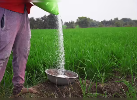 জ্বালানি সংকটে ভারতের কাছে বাড়তি ডিজেল ও সার চাইল বাংলাদেশ
