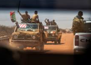 সীমান্ত আর আমলাতন্ত্রের ফাঁদে আটকে সুদানি শরণার্থীরা